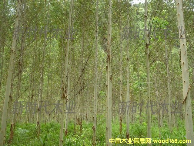 �c(di��n)���鿴����ֵ�6�Ŵ�DƬ