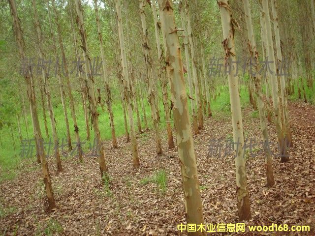 �c(di��n)���鿴����ֵ�2�Ŵ�DƬ