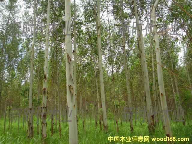 �c(di��n)���鿴����ֵ�4�Ŵ�DƬ