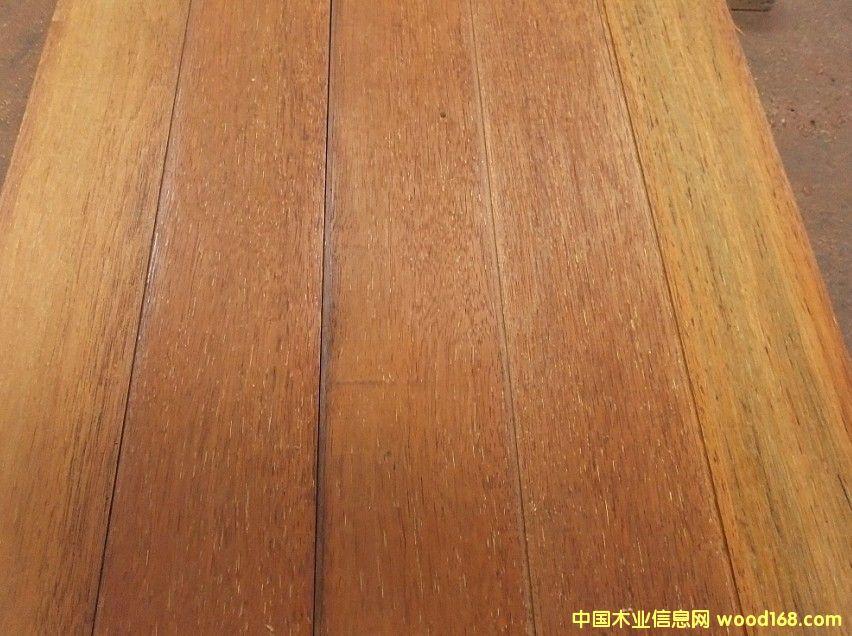 [��] ���u�����}��ľ�����}��ľ��ӡ�Ფ�}��ľ�����޲��}��ľ���R���������}��ľ