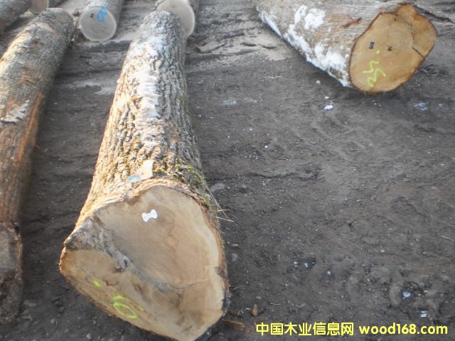 �W�ް���