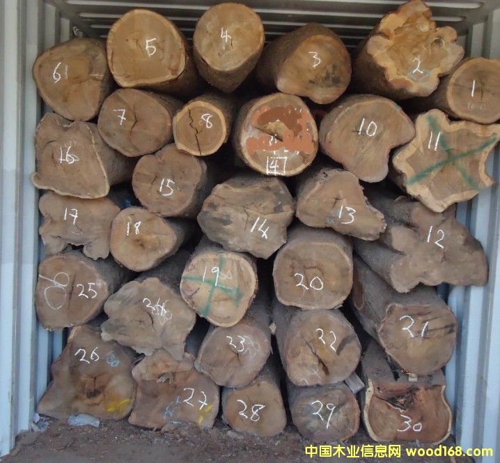 �������Ԕ��(x��)��B