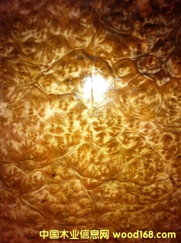 �S��������