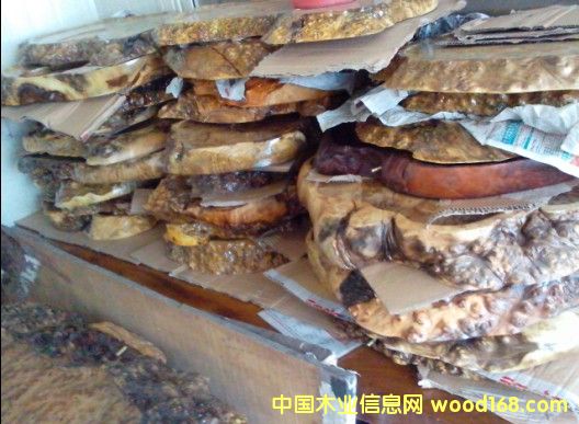 �S�����躣��Ԕ��(x��)��B