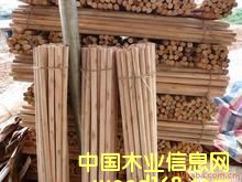 ��ľľо��Ԕ��(x��)��B