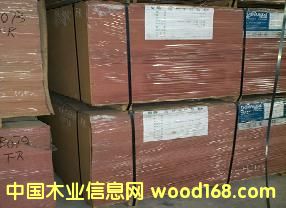 ��ȼ�ܶȰ��Ԕ����B