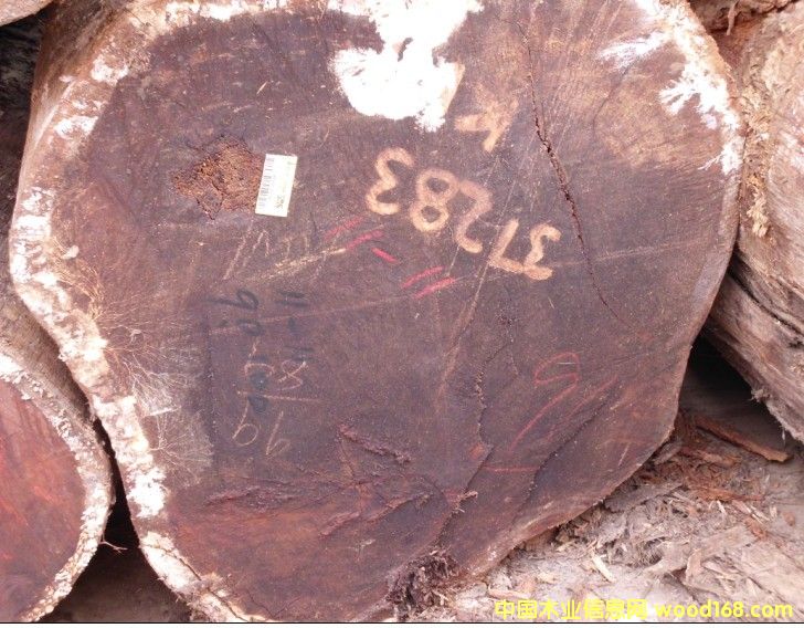 ���}���K��������ľ����̩��ԭľ��Ԕ��(x��)��B