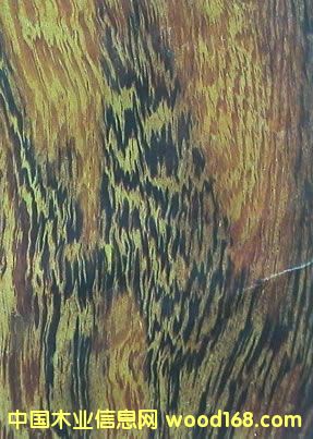 �u��ľ���u��С�u�ᾒ���u��ľ-�M(j��n)�ڈ�(b��o)�P(gu��n)������Ԕ��(x��)��B