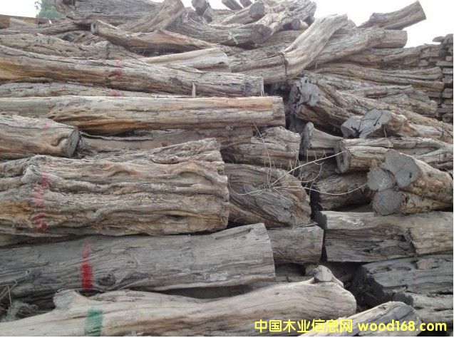 �|�Ǻ��S̴/���ޞ�ľ/�Ϲ�̴--�M(j��n)�ڈ�(b��o)�P(gu��n)������Ԕ��(x��)��B