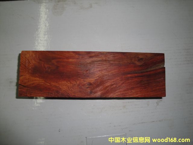 �ϓ뽻ֺ�S̴��Ԕ����B