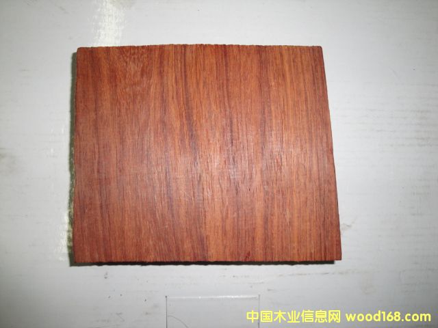 ����t��֦��Ԕ����B