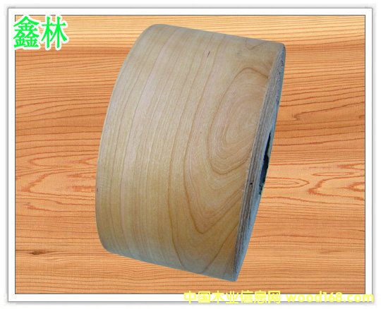 �o����ָ��ľƤ��߅�l��Ԕ��(x��)��B