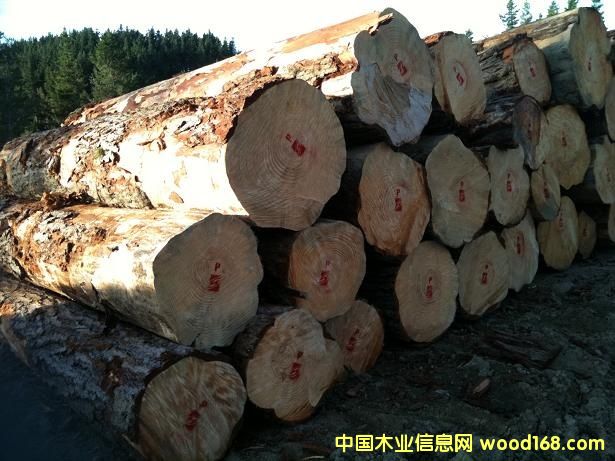 �����mݗ����ԭľ��Ԕ����B