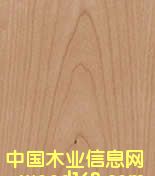 ����ɽ�y��Ԕ����B