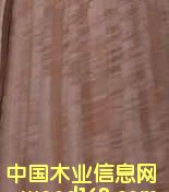 ��Ӱ�ȼ�����Ԕ����B