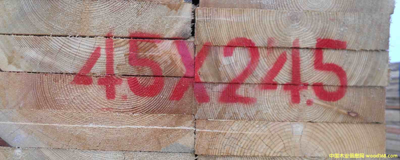 ���~������