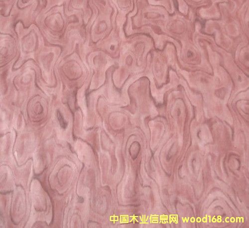 ���λ����Ԕ��(x��)��B