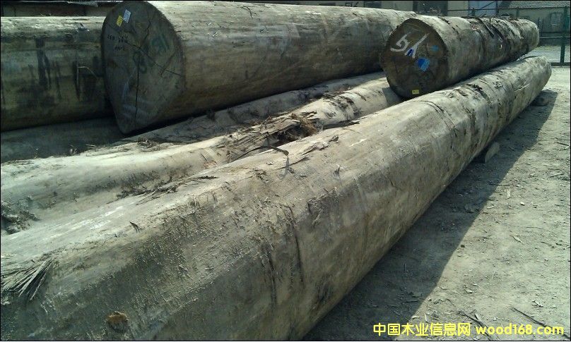 �t�����Ԕ��(x��)��B