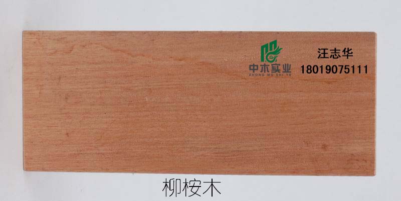 ����ľ��Ԕ����B