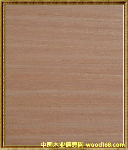 ���ѩ���������-ɳ������Ԕ��(x��)��B