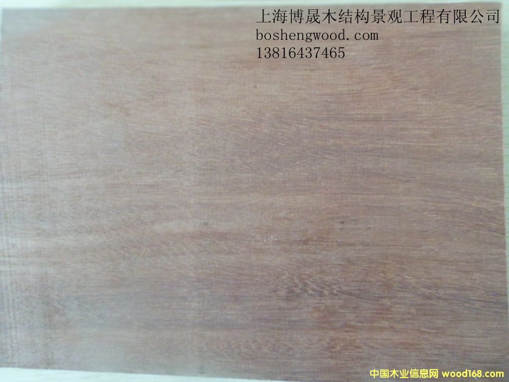 ��ľ��Ԕ��(x��)��B