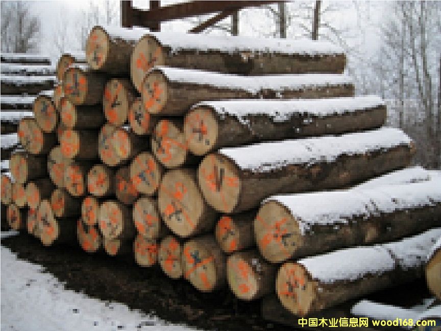 ������Ϟľԭľ��Ԕ����B