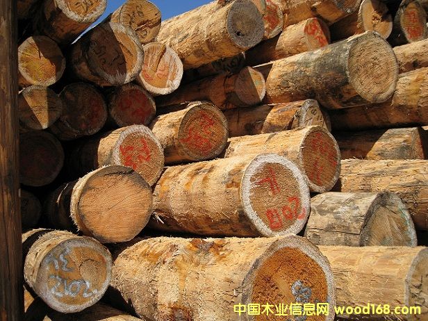 ��������ԭľ