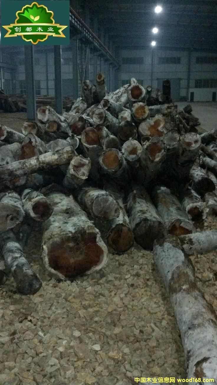 С�ڏ���ľ��Ԕ��(x��)��B