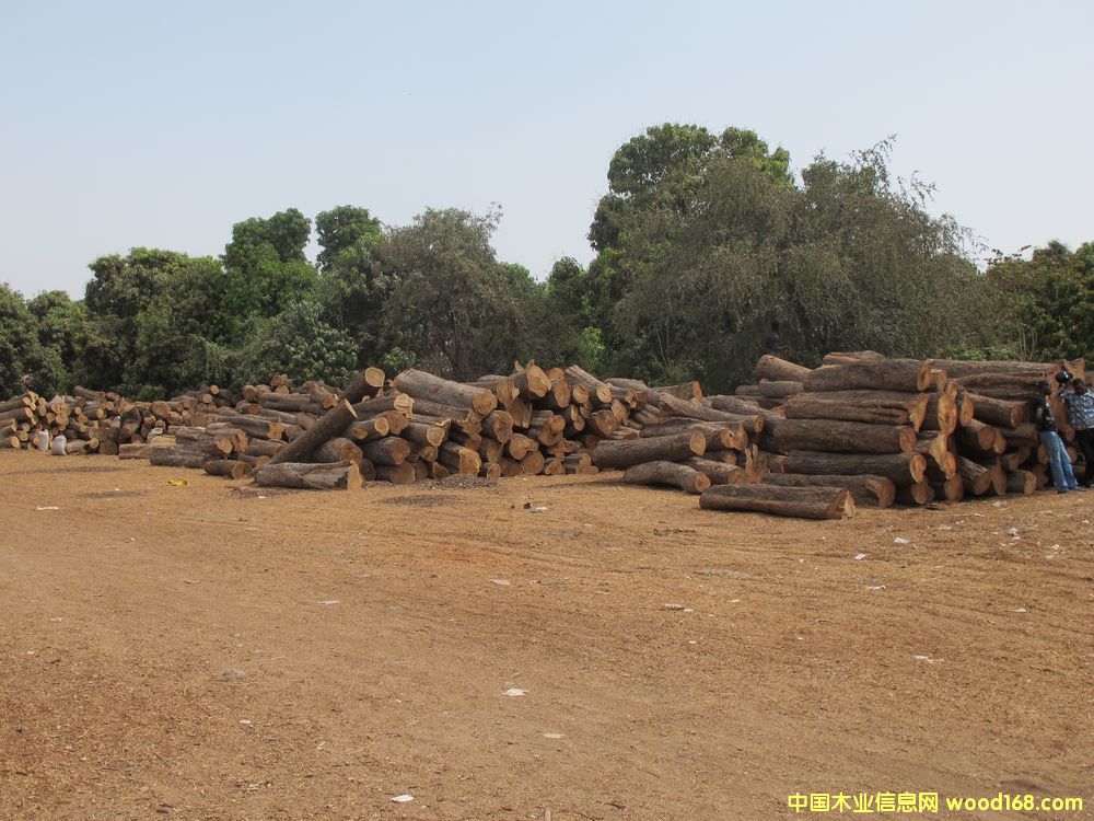 �����̴��Ԕ����B