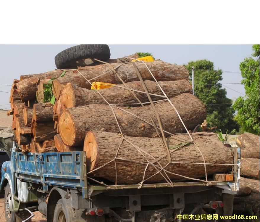 �����̴��Ԕ����B