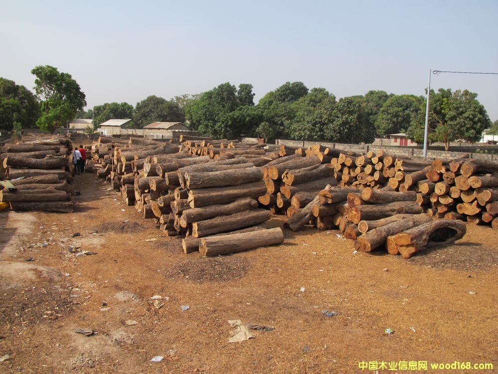 �����̴��Ԕ����B