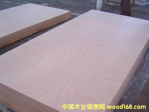 [��] ̎���z�ϰ�