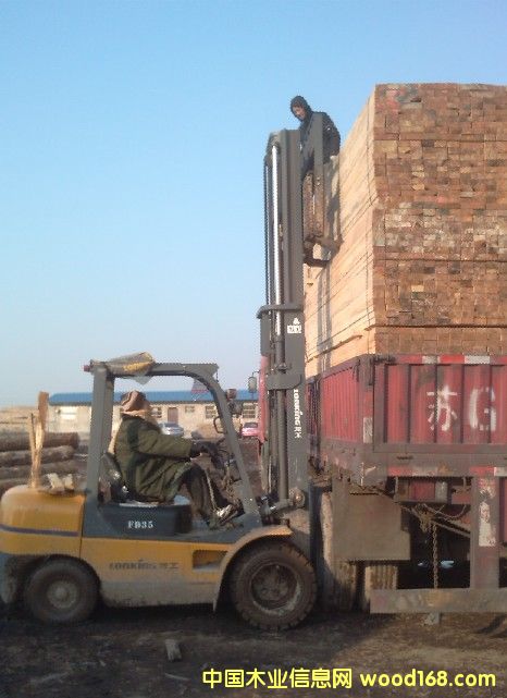 ݗ���ɷ�ľ��Ԕ��(x��)��B