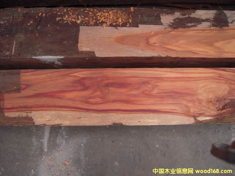 ӡ�Ứ���Ԕ����B