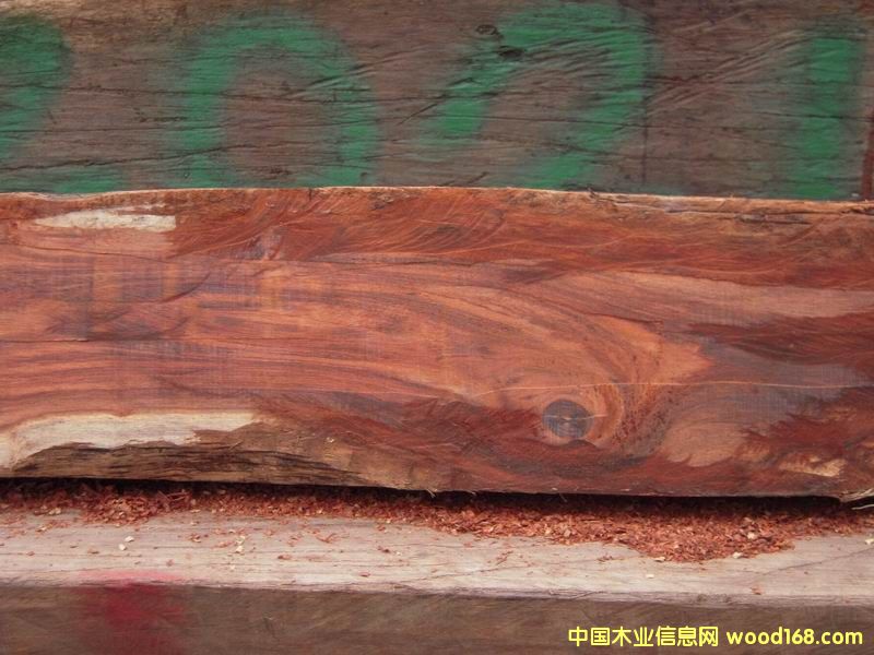 ���~�S�����Ԕ����B