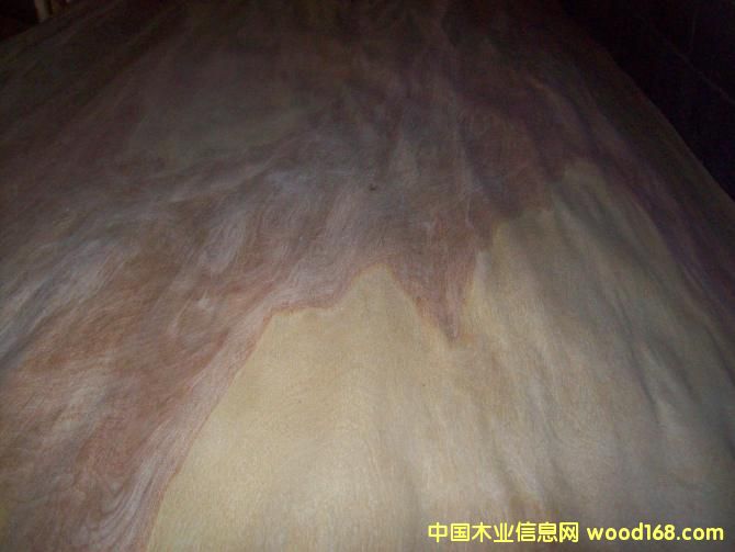 ������Ƥ��Ԕ��(x��)��B