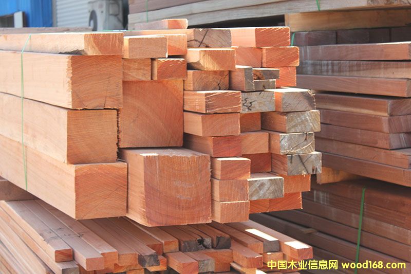 柳桉木的詳細(xì)介紹