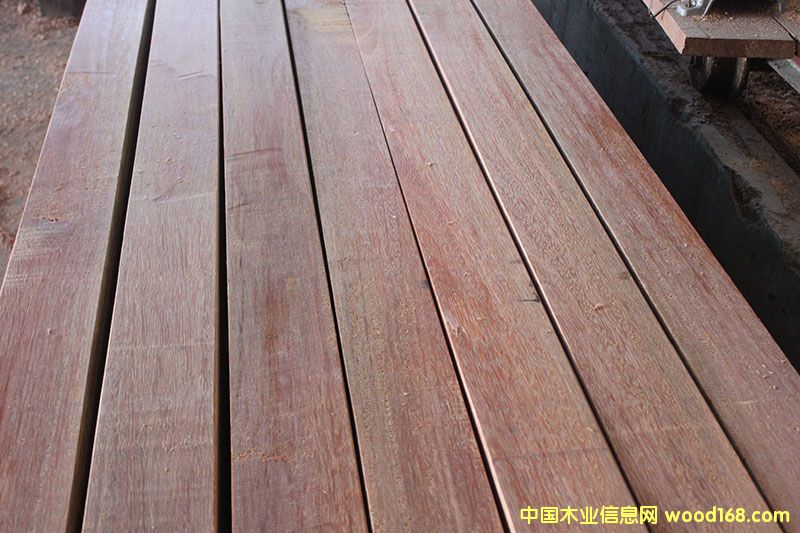 康巴斯的詳細(xì)介紹