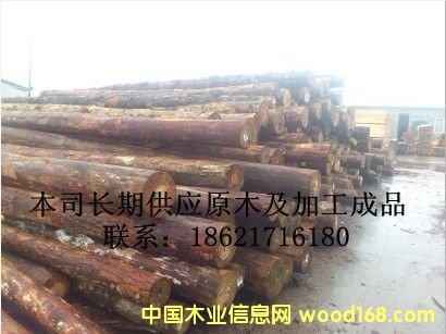 ԭľ��Ԕ����B