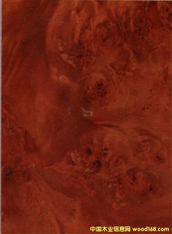 ֪��uv�������xuv�b��Ԕ��(x��)��B