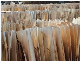 ��ľ��Ƥ��Ԕ��(x��)��B