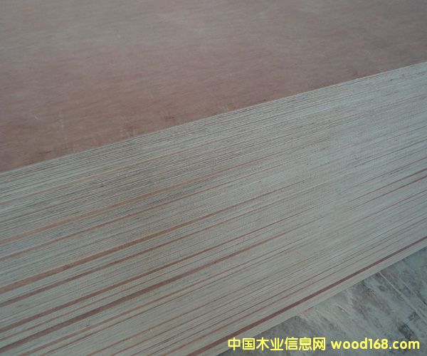 ���s���Ӱ��Ԕ��(x��)��B