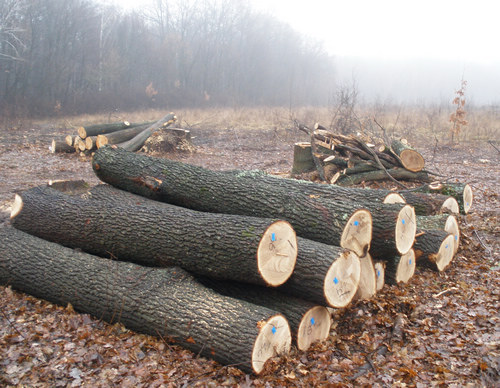 ��ľԭľ��Ԕ��(x��)��B