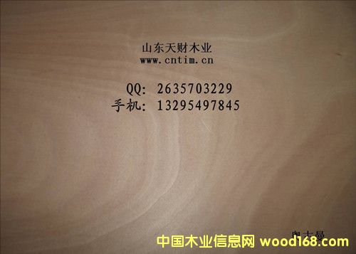 �W�����N���z�ϰ�/�Ҿ߰�