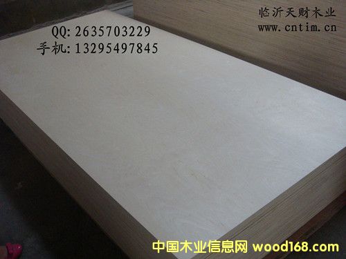 ��ľ�N���z�ϰ�/�Ҿ߰��Ԕ��(x��)��B