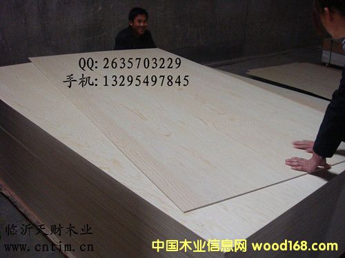 ��ľ�N���z�ϰ�/�Ҿ߰��Ԕ��(x��)��B