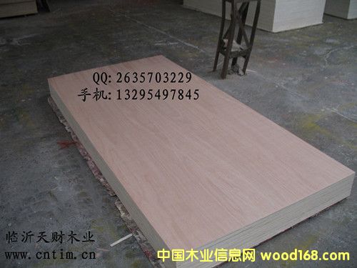 �t�ϙ��N���z�ϰ�/�Ҿ߰�
