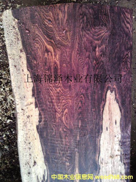 ِ���S̴Ч����Ԕ��(x��)��B