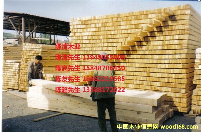 �����ɷ���ľ���S�⣩��Ԕ����B