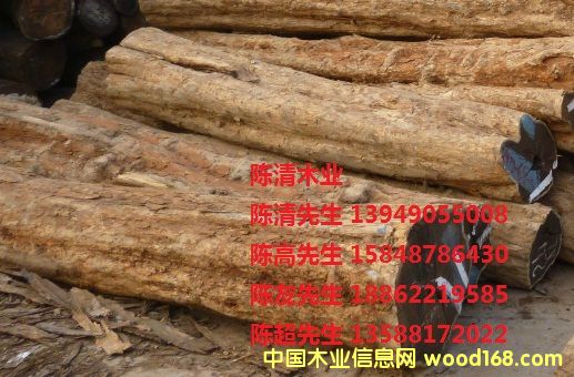 ��ľ(��̴)��Ԕ����B